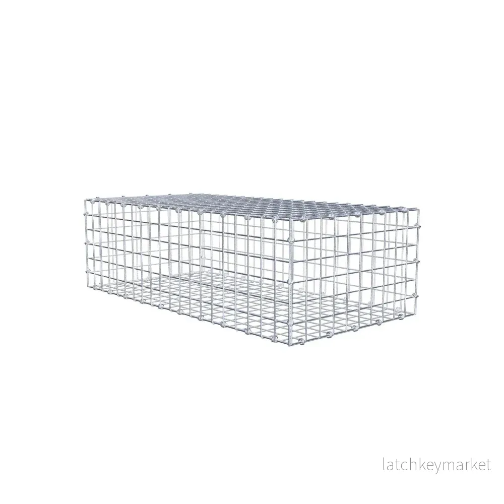 Gabion 100 cm x 30 cm x 50 cm (L x H x D), maskstorlek 5 x 5 cm, spiralring Gabion 100 cm x 30 cm x 50 cm (L x H x D), maskstorlek 5 x 5 cm, spiralring