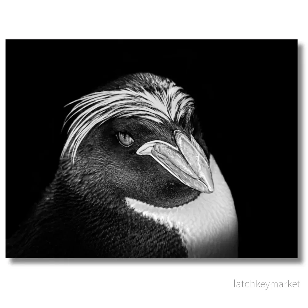 Tavla Aluminium art Penguin Tavla Aluminium art Penguin