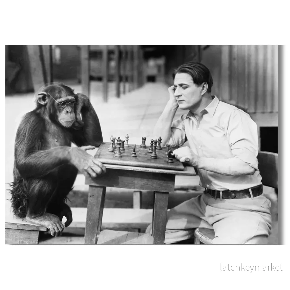 Tavla Aluminium art Monkey Chess Tavla Aluminium art Monkey Chess