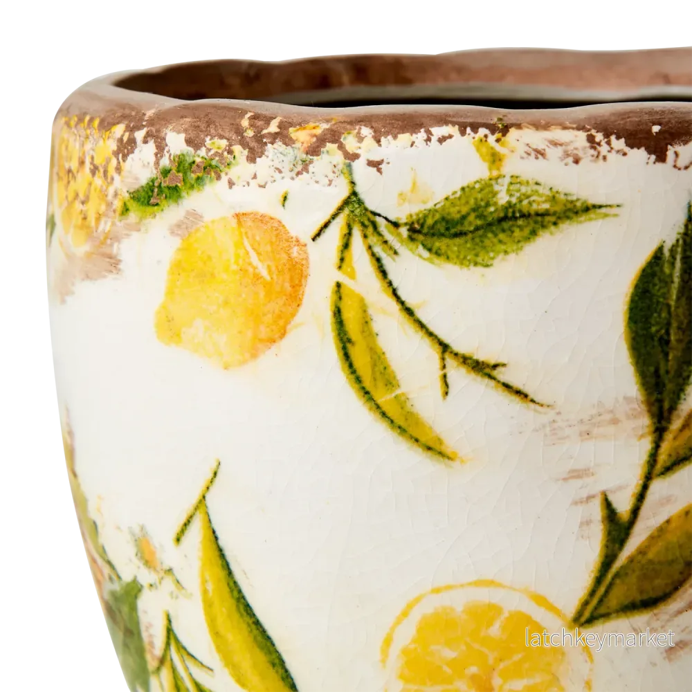 Kruka Lemona - Bild 2