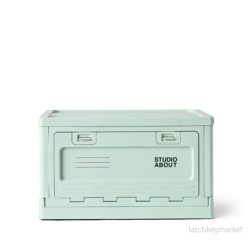 Box Large Mint