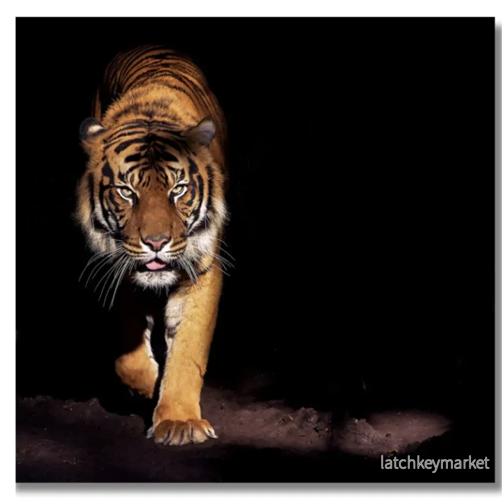 Tavla Aluminium art King of the Jungle Tavla Aluminium art King of the Jungle