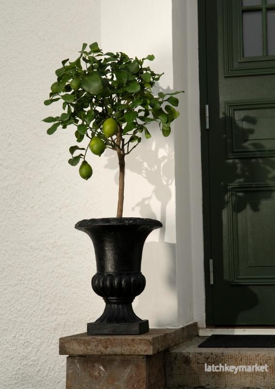 Blomkruka Pokal Svart - 45cm - Bild 2