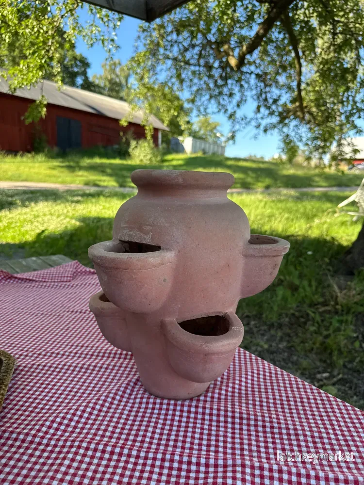 Jordgubbskruka i ljus terrakotta Jordgubbskruka i ljus terrakotta