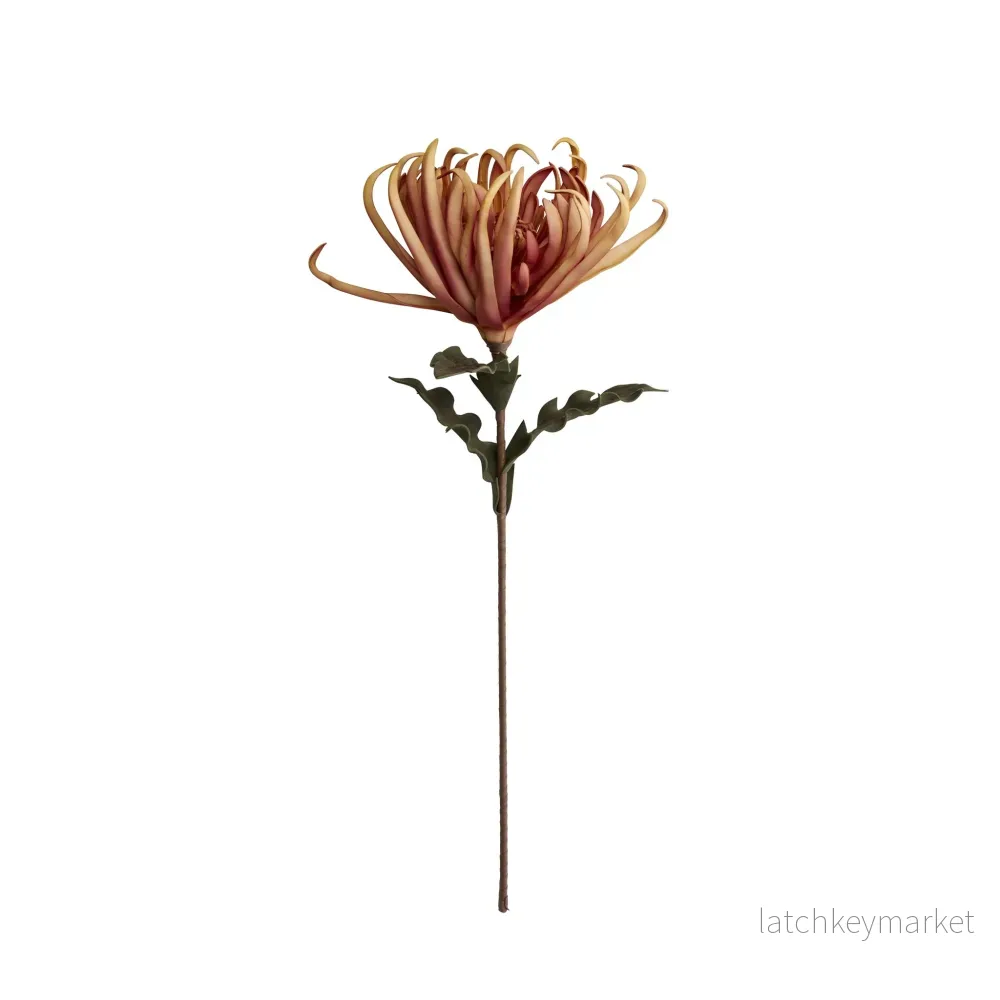 Happia blomma 68x32x32 cm. Happia blomma 68x32x32 cm.
