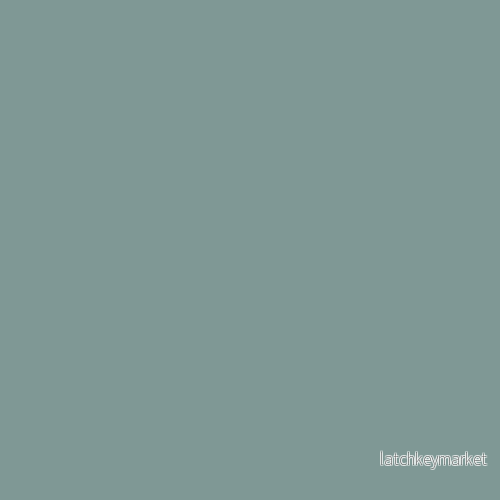 NCS S 4010-B70G NCS S 4010-B70G