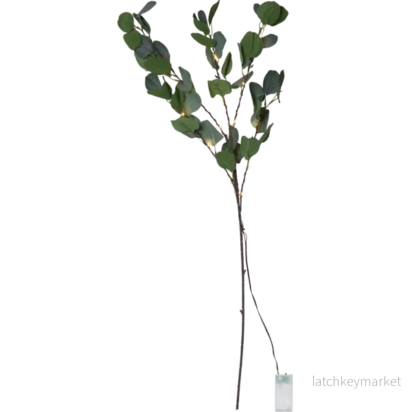 LED Dekorationskvist Eucalyptus