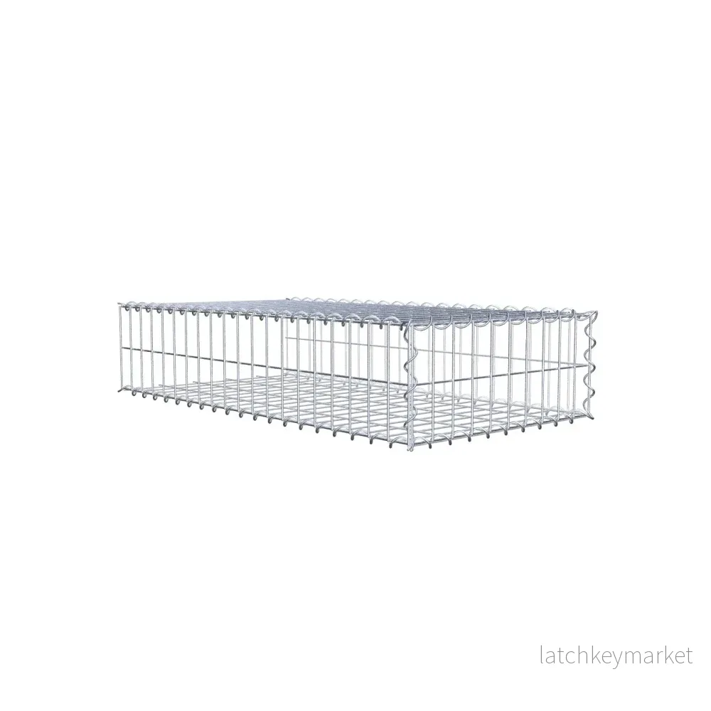 Påväxt gabion typ 2 100 cm x 20 cm x 50 cm (L x H x D), maskstorlek 5 cm x 10 cm, spiral Påväxt gabion typ 2 100 cm x 20 cm x 50 cm (L x H x D), maskstorlek 5 cm x 10 cm, spiral