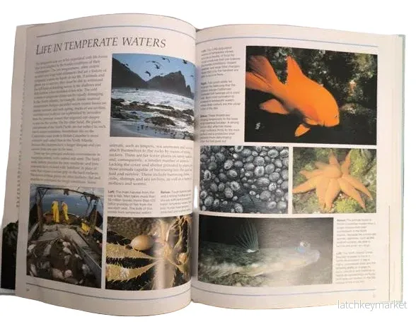 Ocean Life – Les Holliday - Bild 3