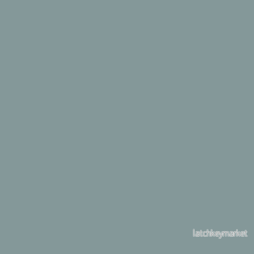NCS S 4010-B50G NCS S 4010-B50G