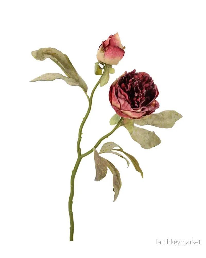 Konstgjord växt Pion Dubbel Vinröd 3-pack 50 cm Konstgjord växt Pion Dubbel Vinröd 3-pack 50 cm