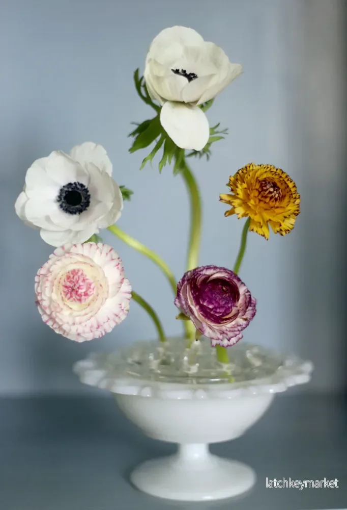 Stor blomsterfakir i glas med skål