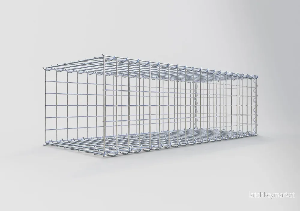 Extra gabion typ 2 100 cm x 30 cm x 40 cm (L x H x D), maskstorlek 5 cm x 5 cm, spiral - Bild 2