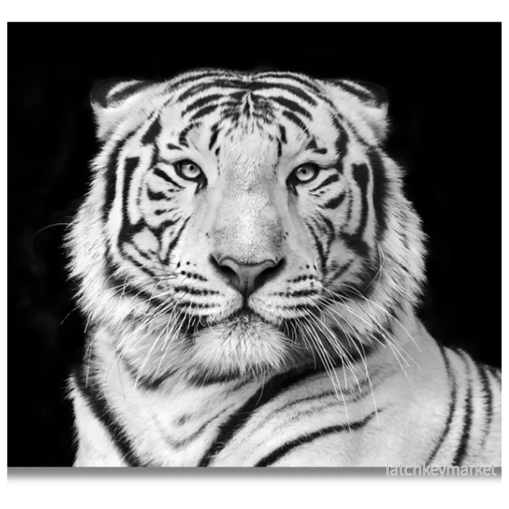Tavla Aluminium art White Tiger 1 Tavla Aluminium art White Tiger 1