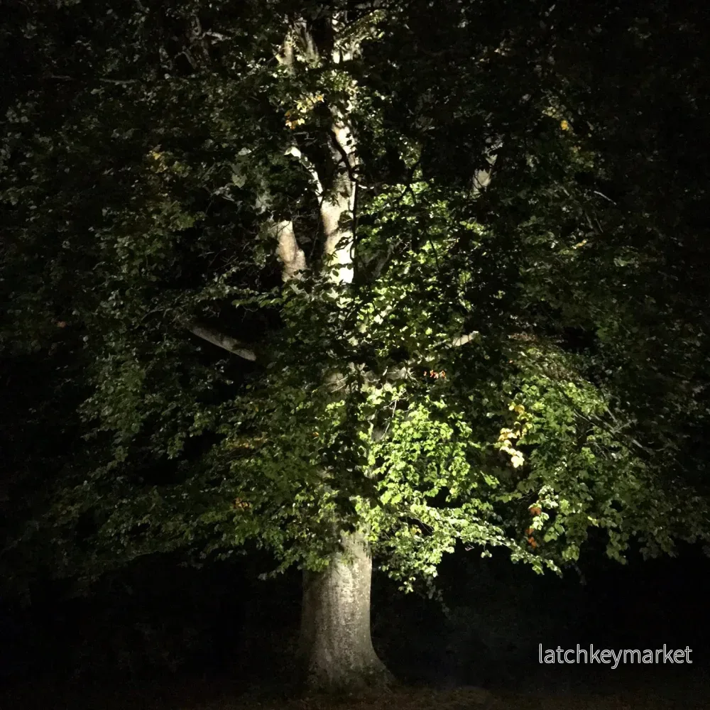 Markspotlight Castor LightsOn - Bild 3