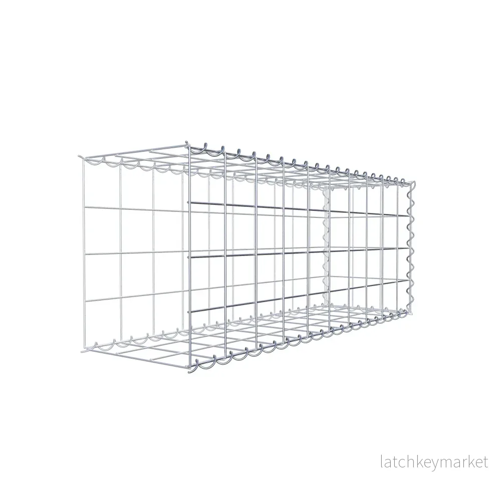 Påväxt gabion typ 2 100 cm x 40 cm x 30 cm (L x H x D), maskstorlek 10 cm x 10 cm, spiral - Bild 3