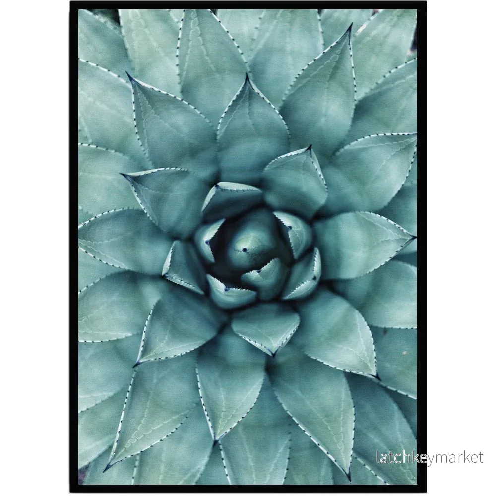 Poster Cactus Poster Cactus