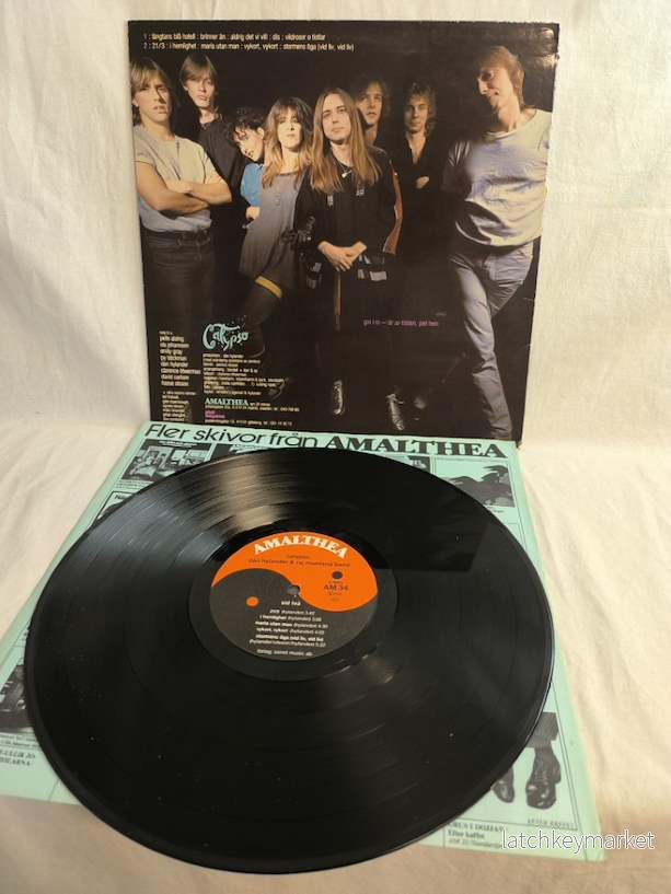 Dan Hylander & Raj Montana Band – Calypso (1983), LP - Bild 2