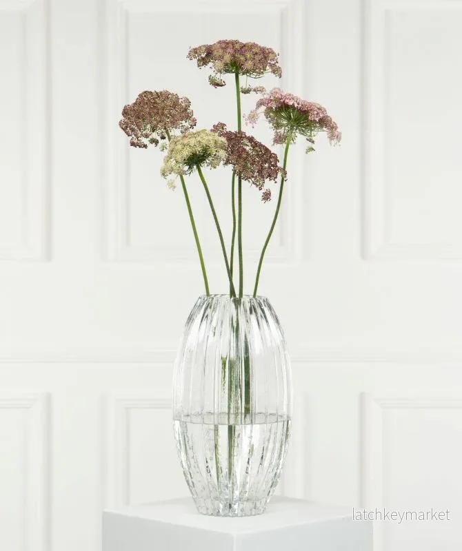 Dekorativ Vas Glas Cane Klar Ø16x8x28cm REA Dekorativ Vas Glas Cane Klar Ø16x8x28cm REA