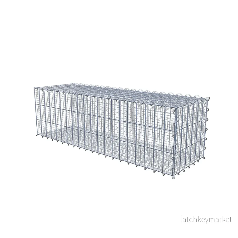 Sandodlingsgabion typ 2 100 cm x 30 cm x 30 cm (L x H x D), maskstorlek 5 cm x 10 cm, spiral - Bild 2