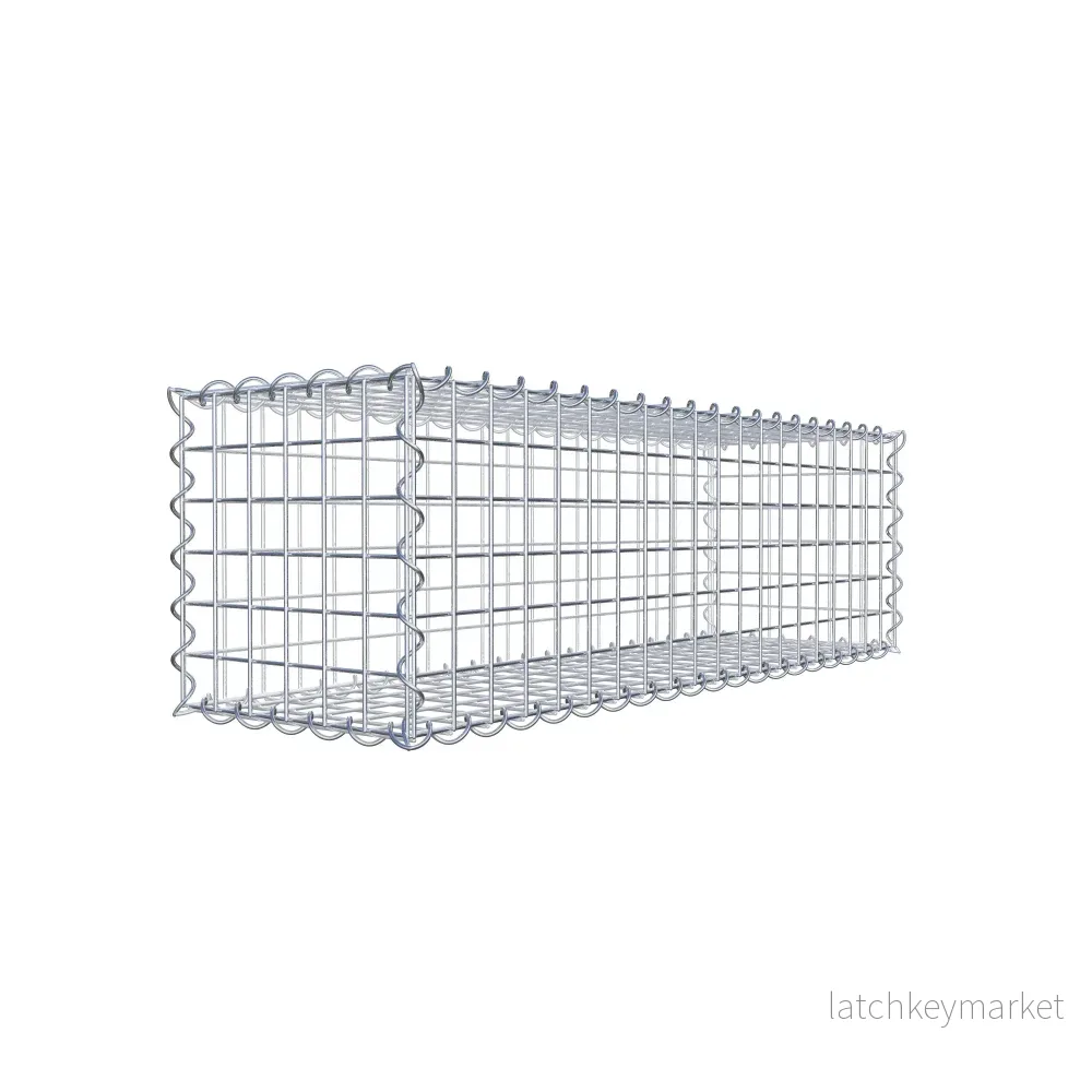 Gabion 100 cm x 30 cm x 30 cm (L x H x D), maskstorlek 5 cm x 5 cm, spiral Gabion 100 cm x 30 cm x 30 cm (L x H x D), maskstorlek 5 cm x 5 cm, spiral