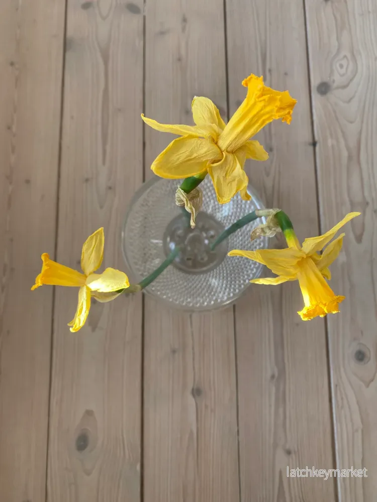 Blomsterfakir i glas med tillhörande skål - Bild 2