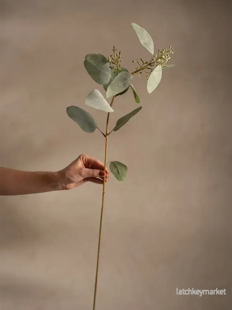Eucalyptus, 87 cm
