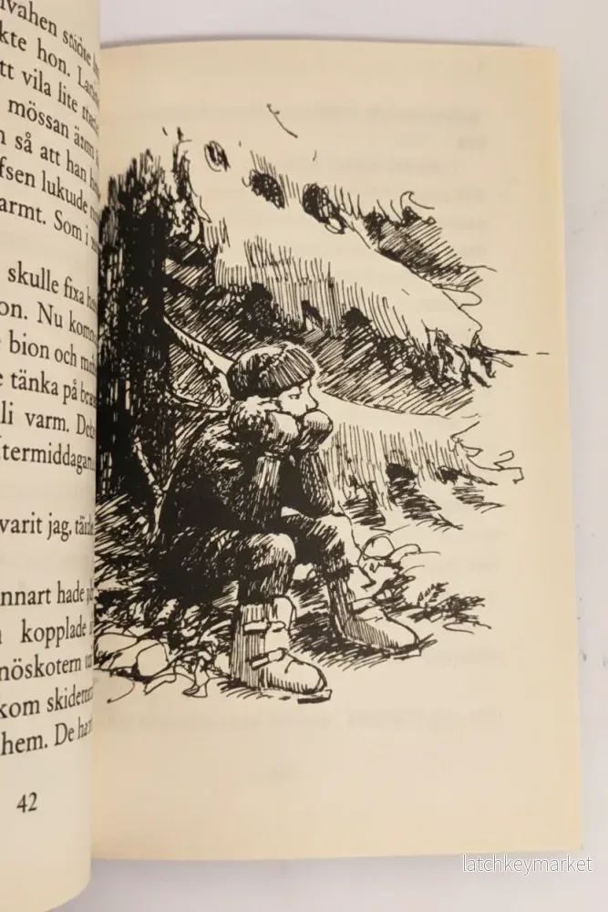 Liten skidåkare försvunnen – Anna Lena Wik‑Thorsell - Bild 3