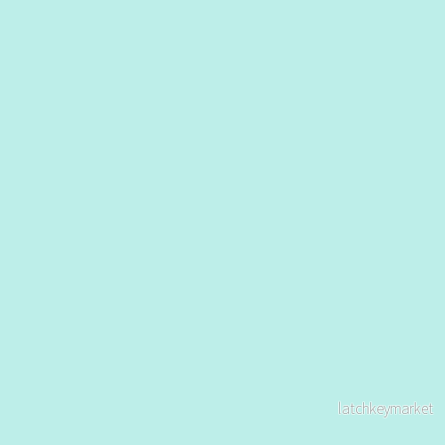 NCS S 0520-B60G NCS S 0520-B60G