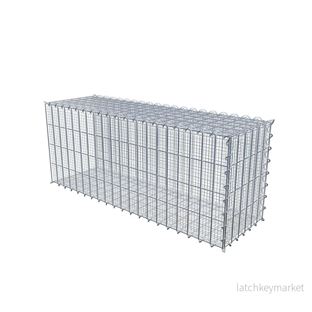 Sandodlingsgabion typ 2 100 cm x 40 cm x 30 cm (L x H x D), maskstorlek 5 cm x 10 cm, spiral - Bild 2