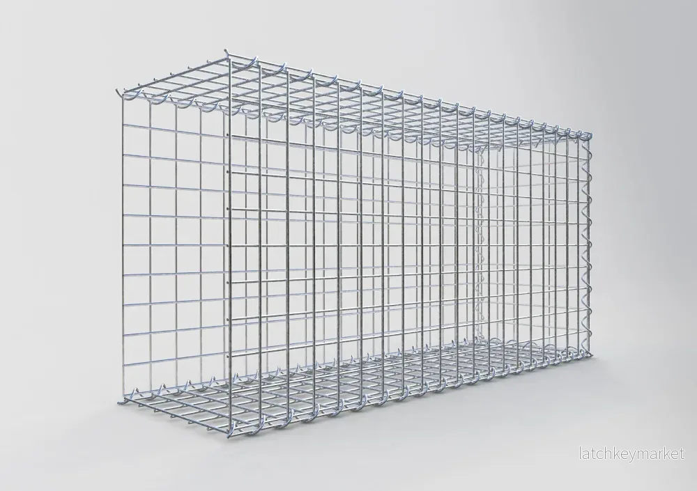 Påväxt gabion typ 2 100 cm x 50 cm x 30 cm (L x H x D), maskstorlek 5 cm x 5 cm, spiral - Bild 2