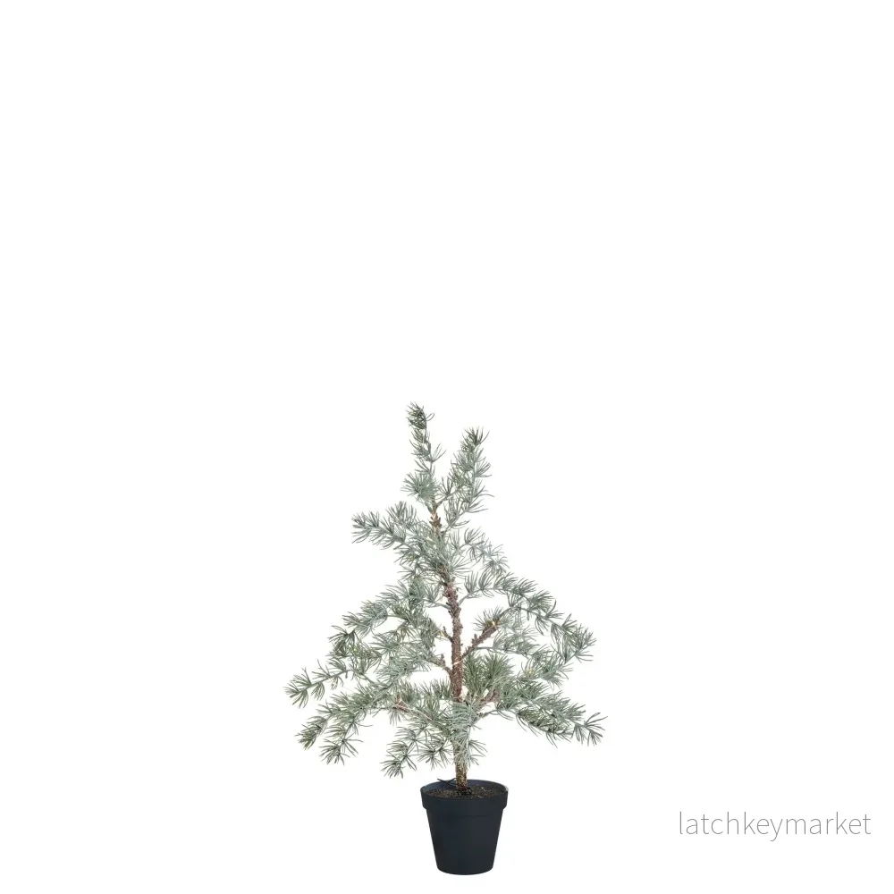 Cedille träd H60 cm. grön Cedille träd H60 cm. grön