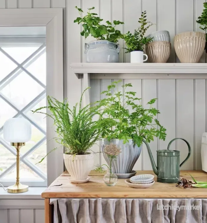Vattenkanna Hugo Mörkgrön - Bild 2