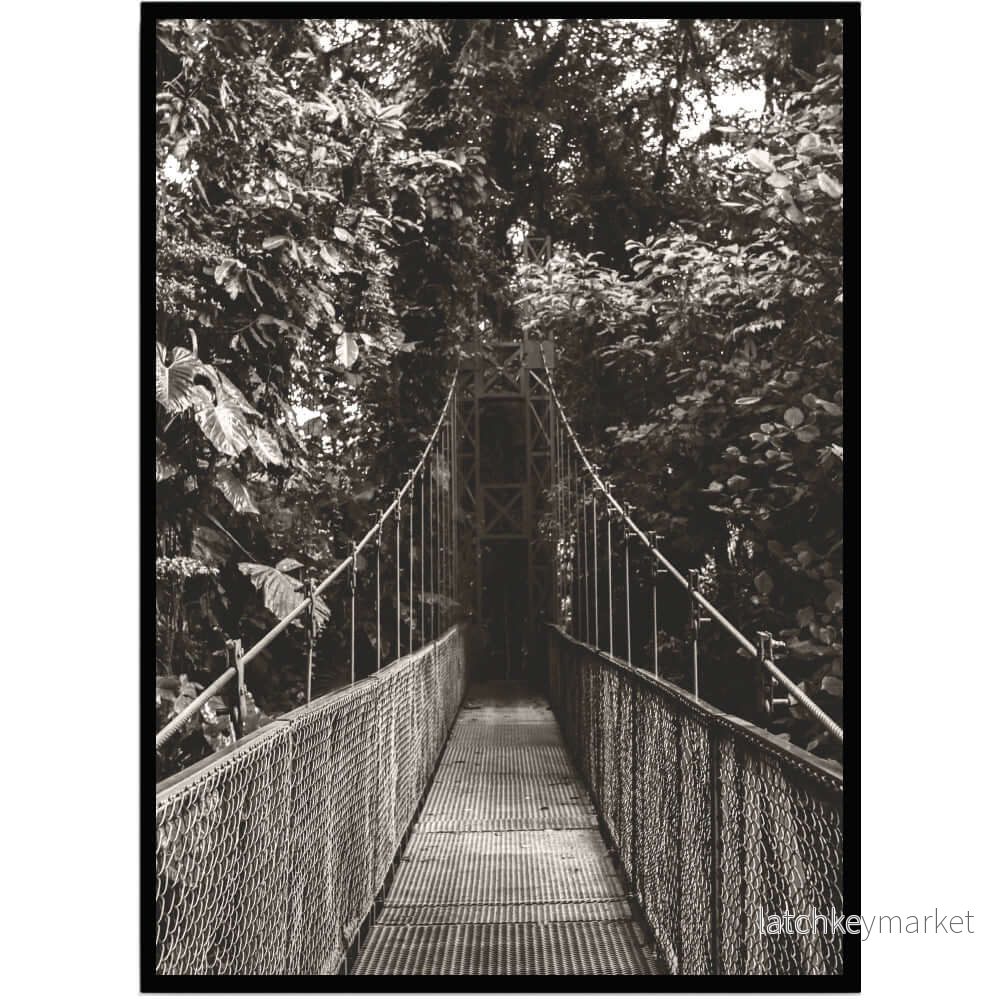 Poster Bridge in forest Poster Bridge in forest