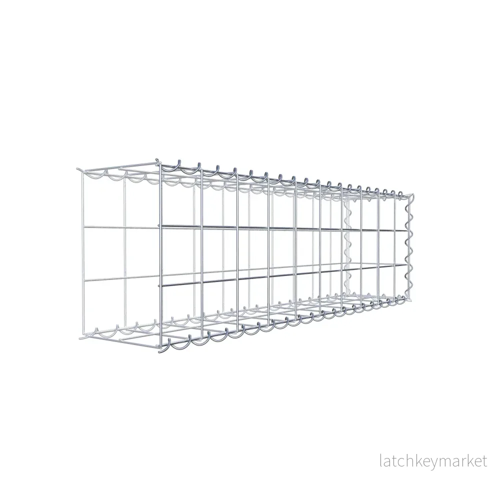Påväxt gabion typ 2 100 cm x 30 cm x 20 cm (L x H x D), maskstorlek 10 cm x 10 cm, spiral - Bild 3