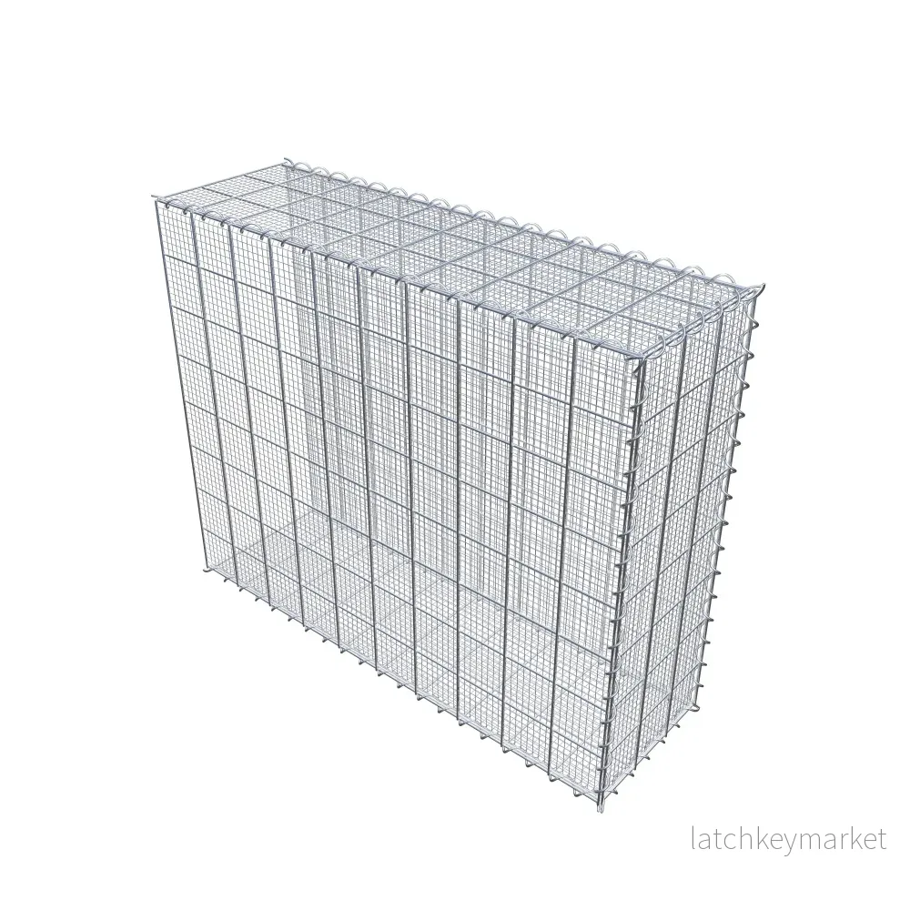 Sandodlingsgabion typ 2 100 cm x 80 cm x 30 cm (L x H x D), maskstorlek 10 cm x 10 cm, spiral - Bild 2