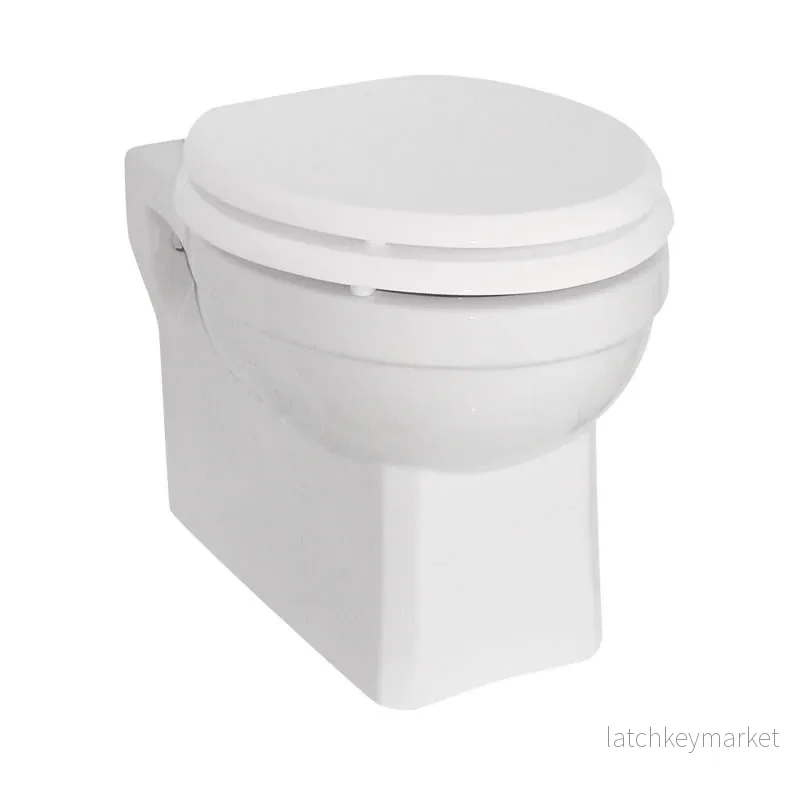 Vägghängd toalett Burlington