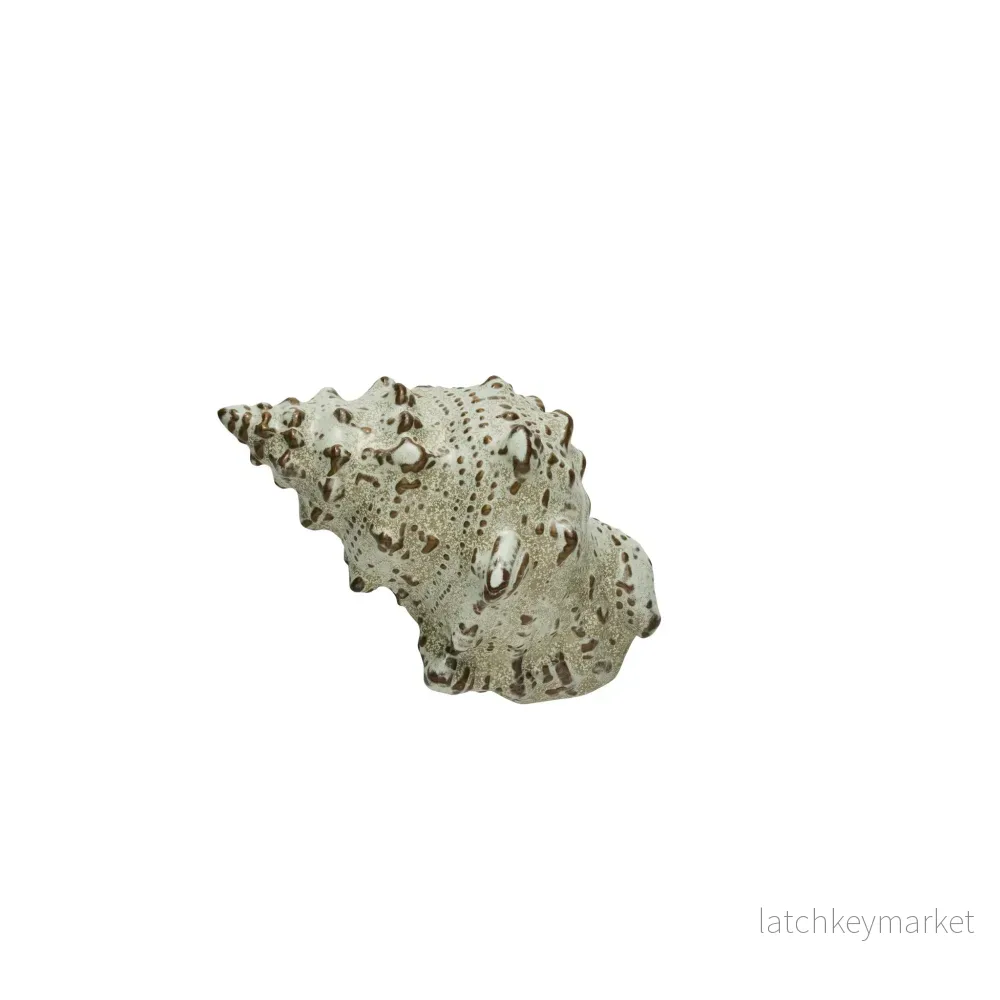 Shellille dekoration konkylia D15 H7.5 Linne Shellille dekoration konkylia D15 H7.5 Linne
