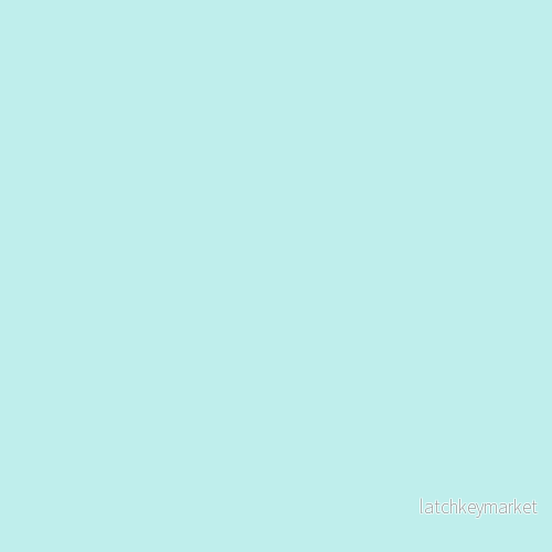 NCS S 0520-B50G NCS S 0520-B50G