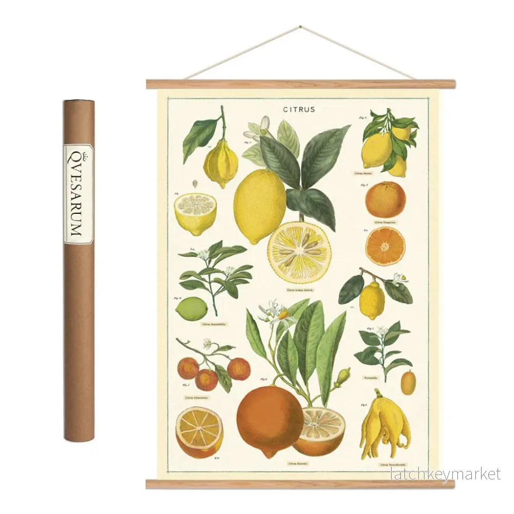 Vintage poster kit 'Citrus'