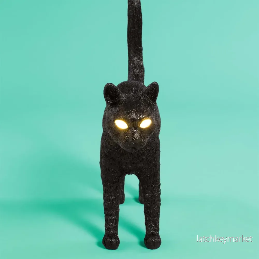 Jobby The Cat - Bild 2