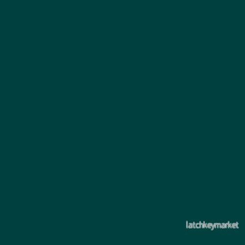 NCS S 7020-B50G NCS S 7020-B50G