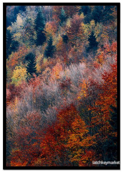 Poster Forest red Poster Forest red