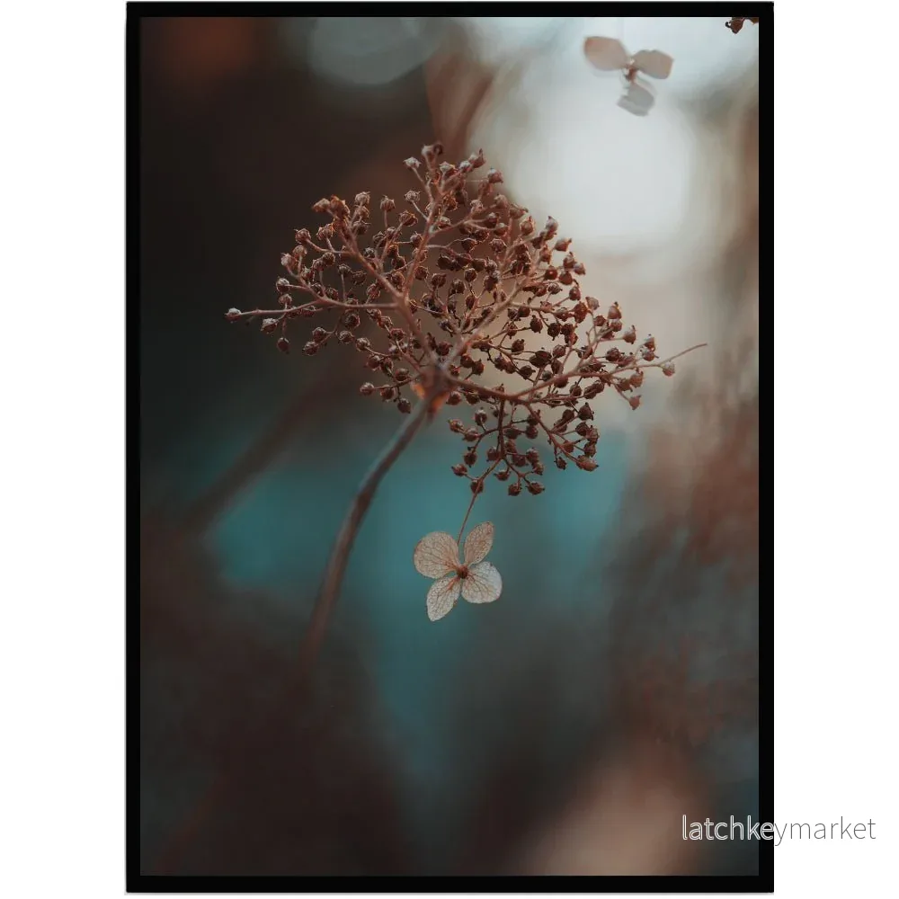 Poster Dry flower I Poster Dry flower I