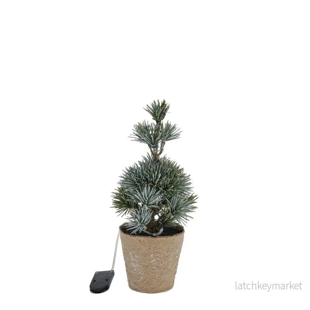 Cedille träd H22 cm. grön Cedille träd H22 cm. grön