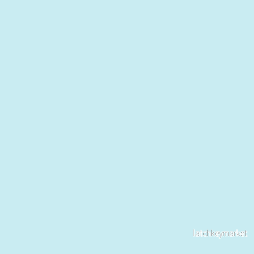 NCS S 0515-B20G NCS S 0515-B20G