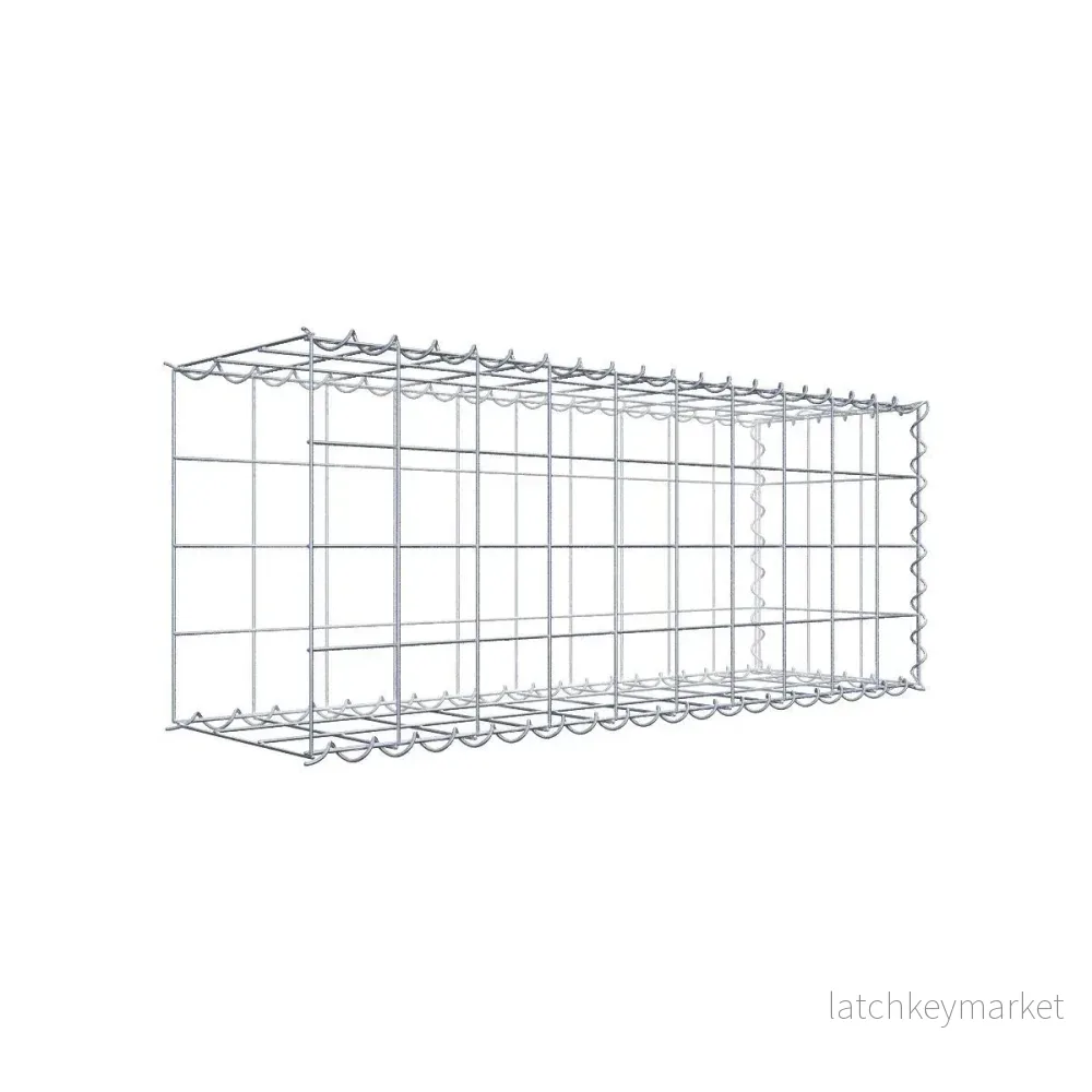 Påväxt gabion typ 2 100 cm x 40 cm x 30 cm (L x H x D), maskstorlek 10 cm x 10 cm, spiral