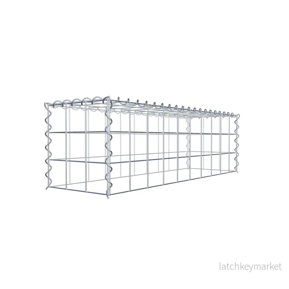 Påväxt gabion typ 3 100 cm x 30 cm x 30 cm (L x H x D), maskstorlek 10 cm x 10 cm, spiral - Bild 3