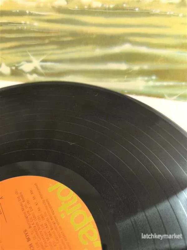 The Beach Boys – 20 Golden Greats - Bild 2