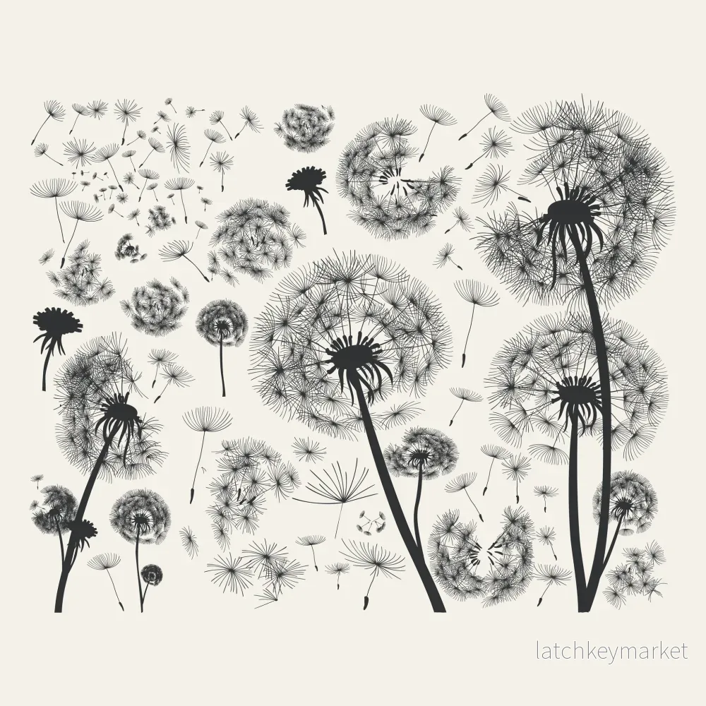 Dekortransfer Black dandelions Dekortransfer Black dandelions